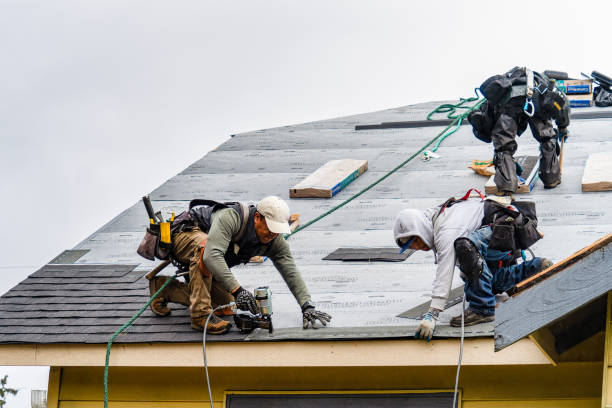 Professional Gutter Installation technician working in Brooks, MN